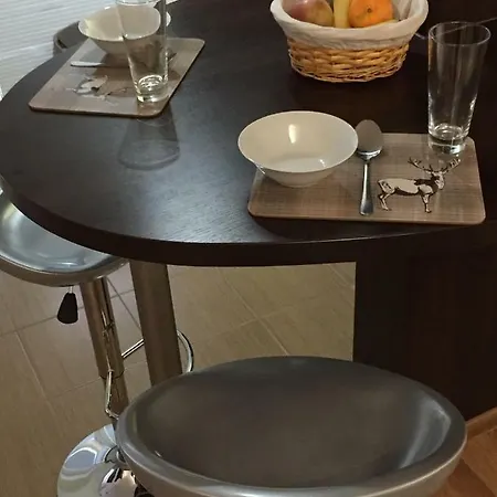 Apartment Eric 9d High Tatras