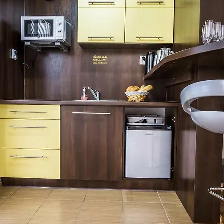 Apartament Eric 9d High Tatras Wysokie Tatry