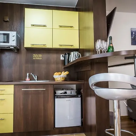 Eric 9d High Tatras Apartment Vysoke Tatry